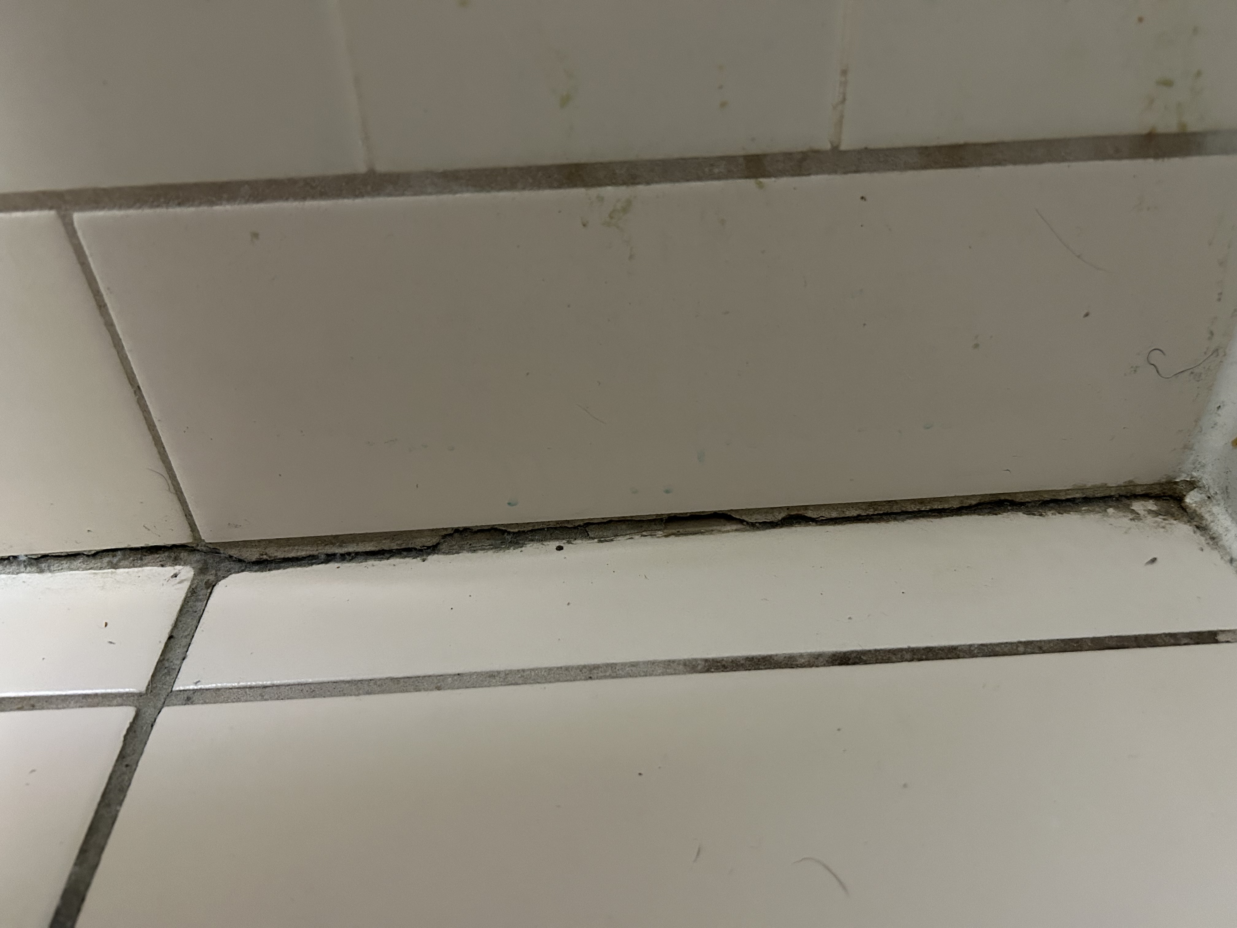 A failed grout joint on a bathroom vertical wall