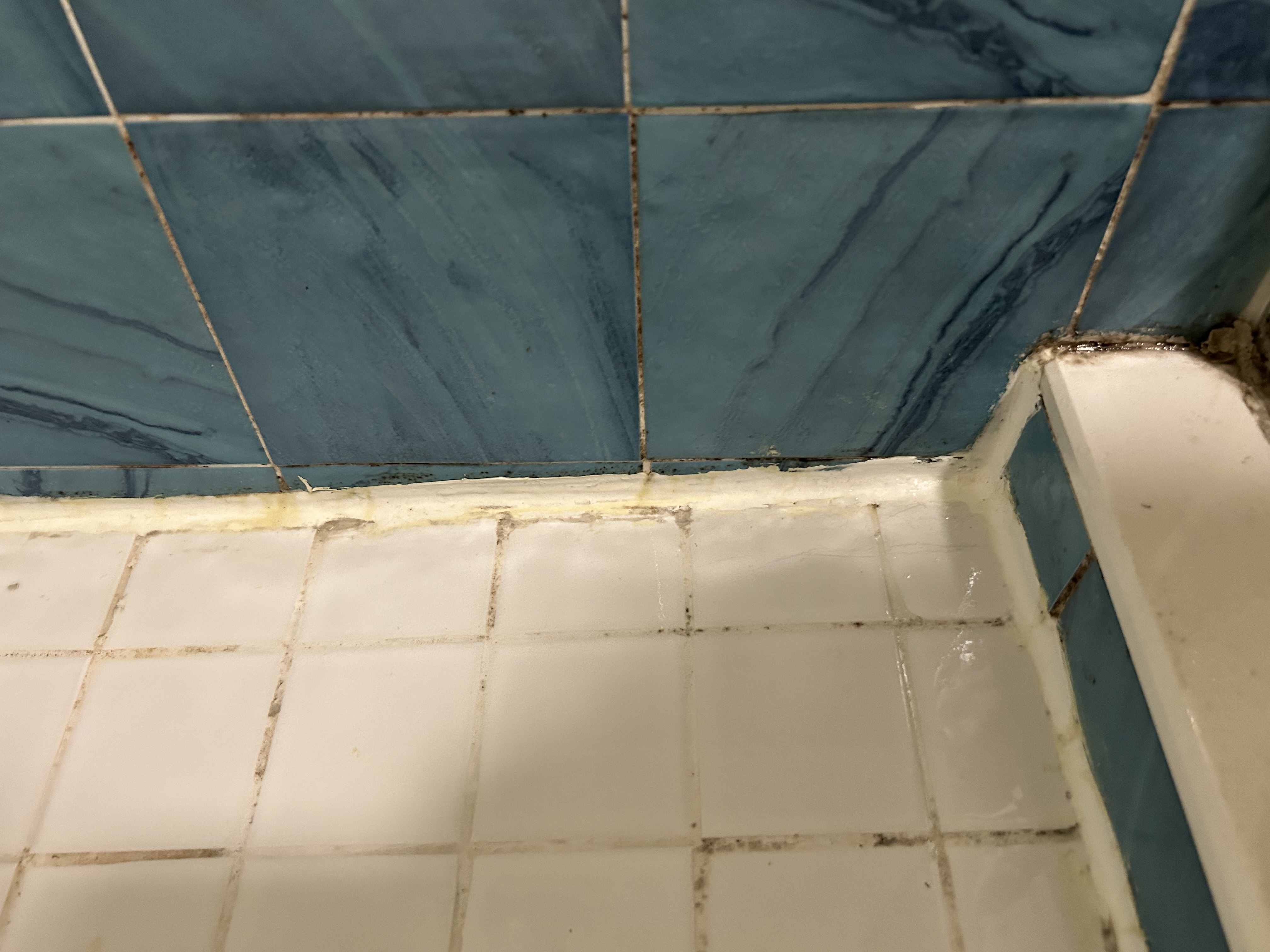 Caulking around shower pan